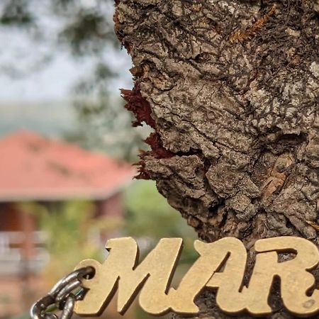 Mars Jungle Adventure Stud Farm With Private Jacuzzi Villa Narsinge Kültér fotó