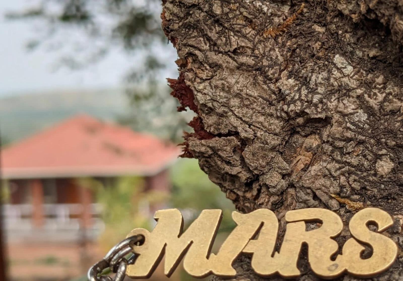 Mars Jungle Adventure Stud Farm With Private Jacuzzi Villa Narsinge Kültér fotó